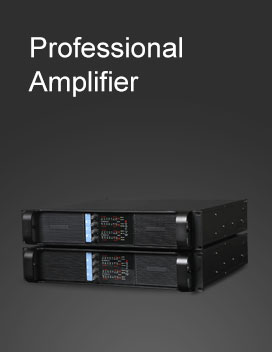 PROFESSIONAL AMPLIFIER