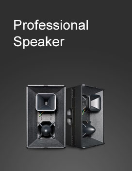 PROFESSIONAL SPEAKER
